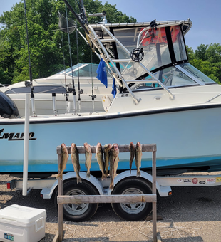 Cast your line in Lake Erie’s calm waters!